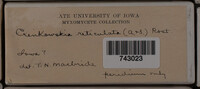 Image Associated With the Occurence